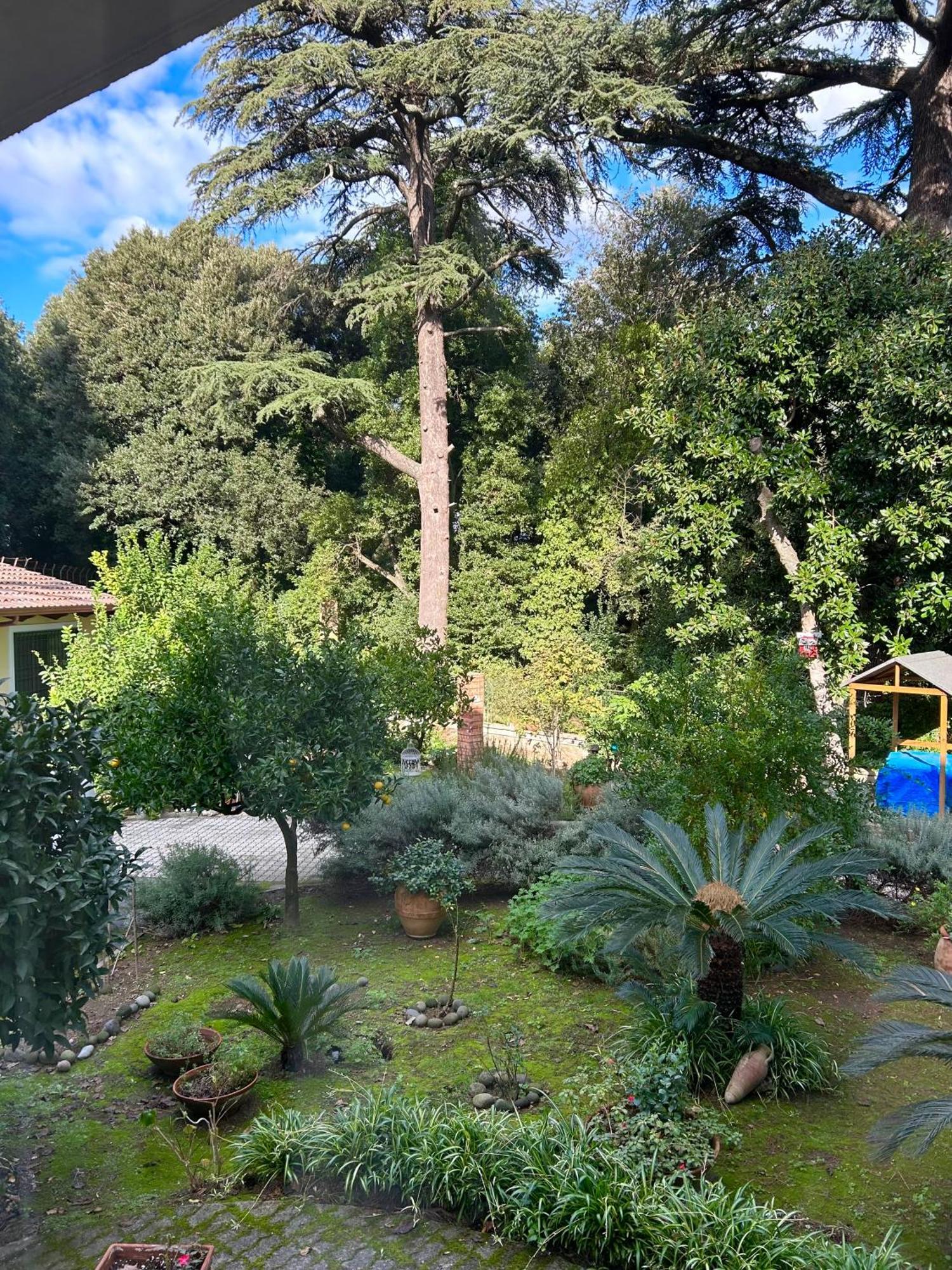 ナポリCasa Iaiaアパートメント エクステリア 写真